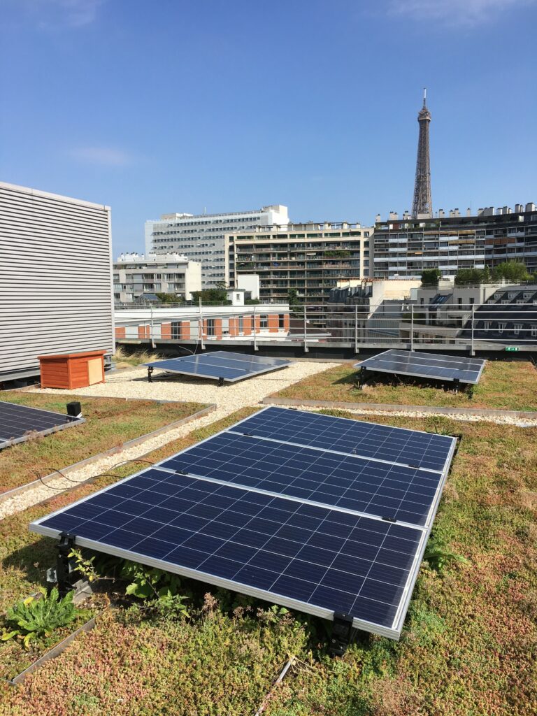Toiture Oasis Biosolar de l’École Centrale d’Électronique à Paris