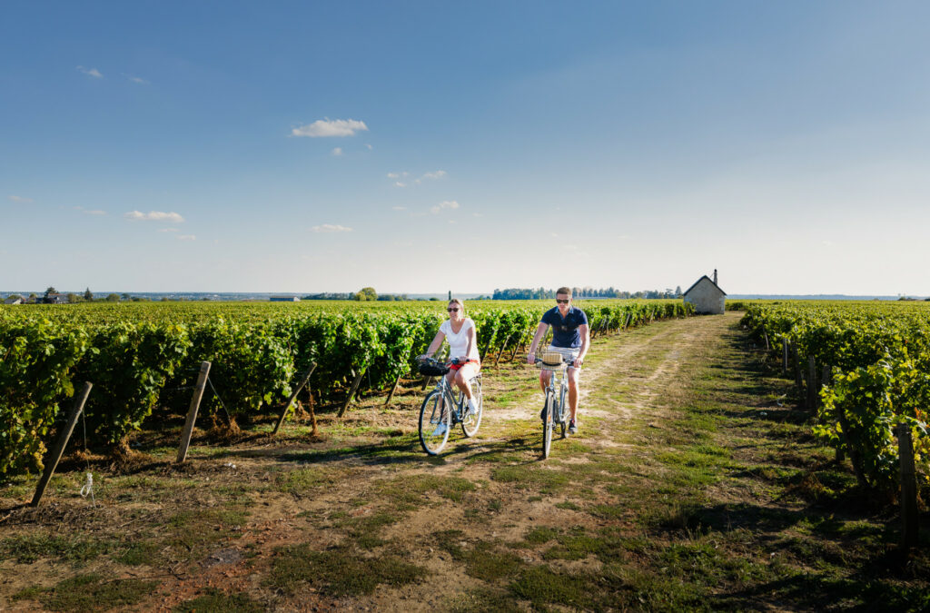 Vélos dans les vignes à Vouvray - © ADT Touraine – Jean-Christophe Coutand